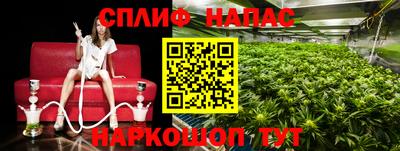 бошки Новокубанск