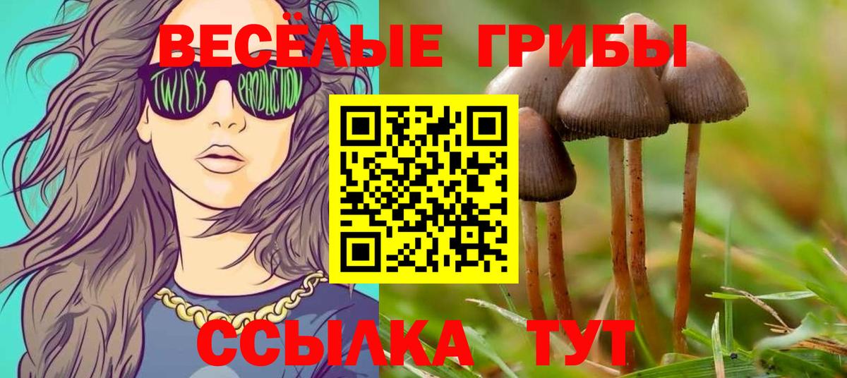 Псилоцибиновые грибы Magic Shrooms  Вход с VPN  Псилоцибиновые грибы Psilocybine cubensis  Новороссийск 
